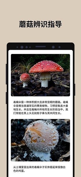 蘑菇识别扫一扫1