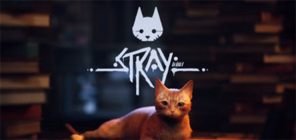 stray迷失1