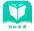 爱尚小说app下载安装软件