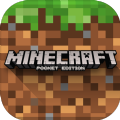 com.mojang.minecraftpe