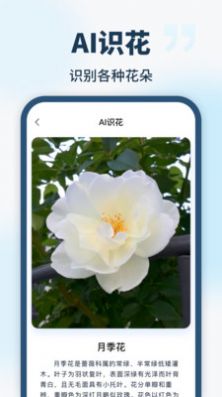 智能识别全能王app手机版2