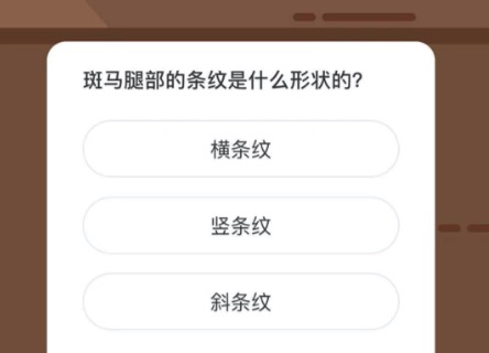 斑马腿部的条纹是什么形状的？微博森林驿站2月17日今日答题答案