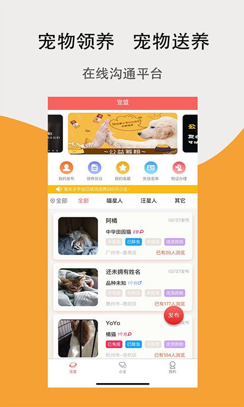 宠夫子3