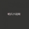 哨兵小说