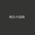哨兵小说软件