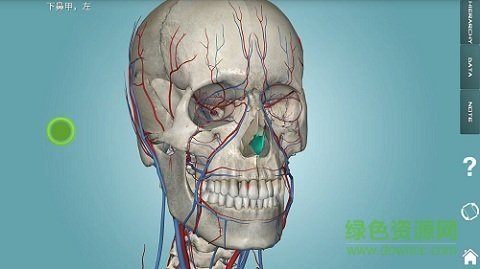 人体解剖学图集