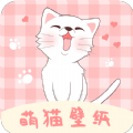 萌猫桌面壁纸