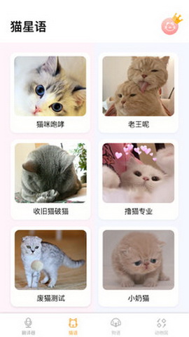 翻译猫语app软件下载