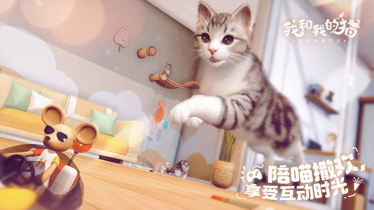 我和我的猫