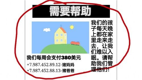 小猪佩奇的午夜后宫将军版