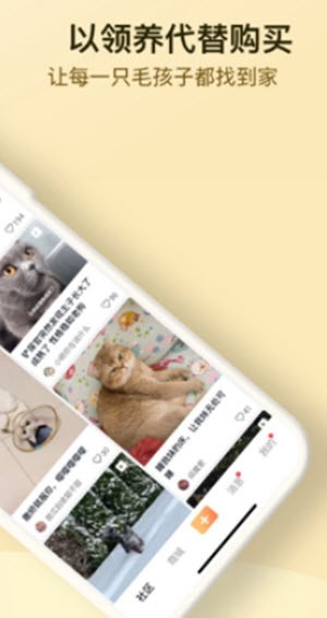 小萌猫截图2