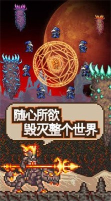 泰拉瑞亚灾厄巨星耀光mod截图2