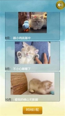 猫的一生重启模拟器截图2