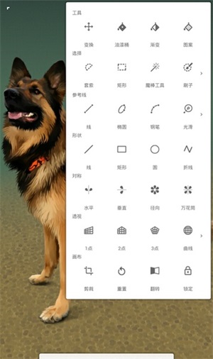 painter6.5版本截图1