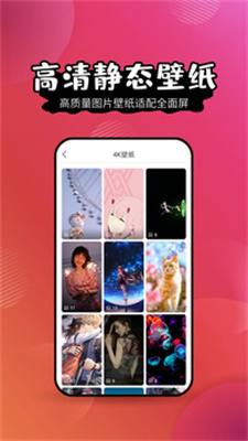 壁纸精灵APP截图2