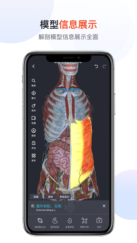 口袋人体解剖免费版