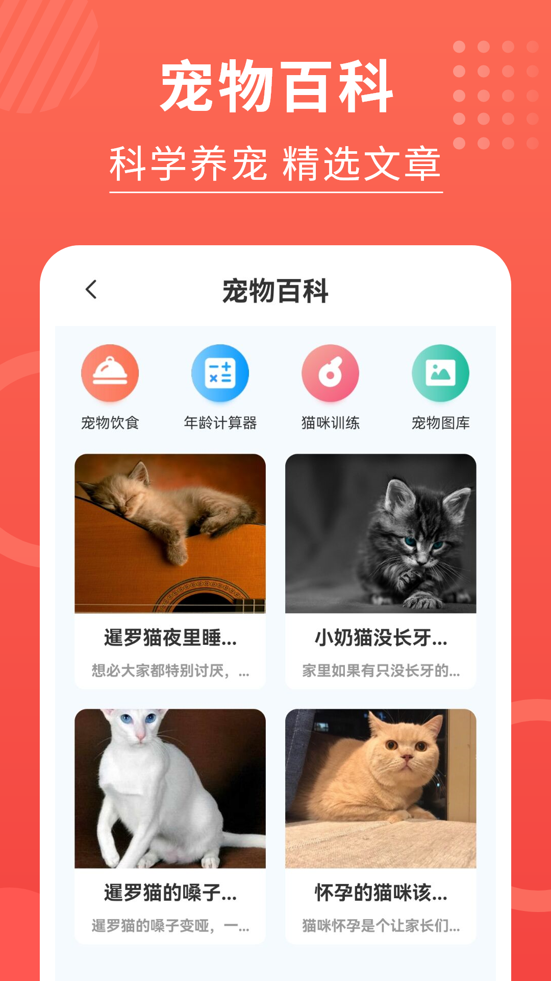 省猫猫