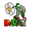 植物大战僵尸杂交版2.3版本