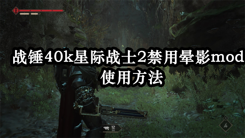 战锤40k星际战士2禁用晕影mod使用方法