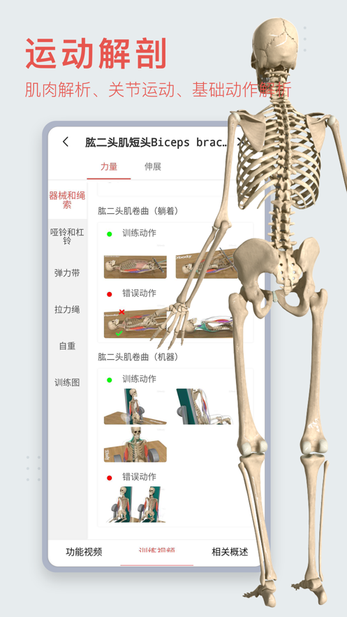 3DBODY解剖