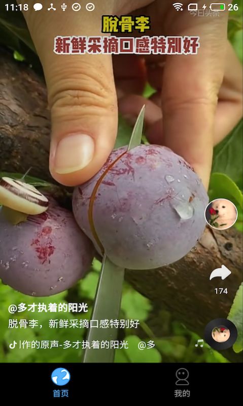 多多免费短剧APP