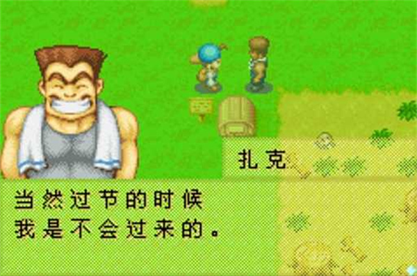 牧场物语矿石镇的伙伴们中文版