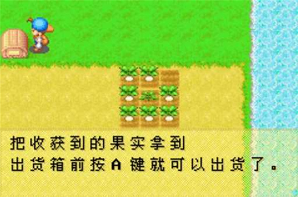 牧场物语矿石镇的伙伴们中文版