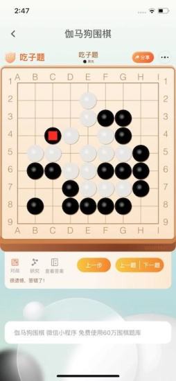 伽马狗围棋软件