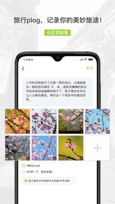 豆芽部落app