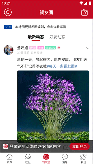 铜陵网截图