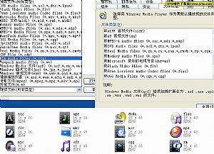 Windows Media Player(WMP)万能解码器 绿色加强版_让WMP可播放全部格式