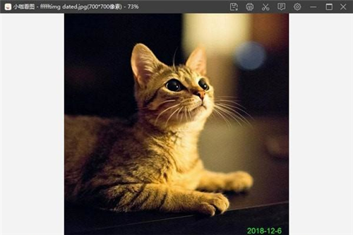 小咖看圖