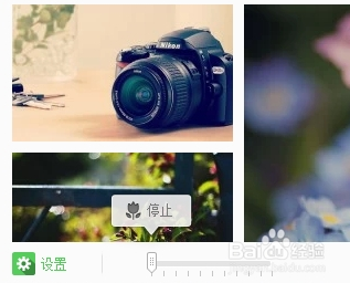 搜狗壁紙