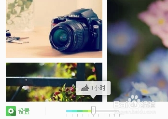 搜狗壁紙