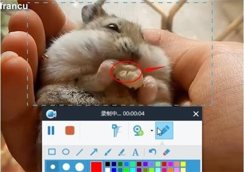 Apowersoft錄屏王