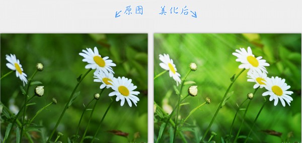 2345看圖王10.0
