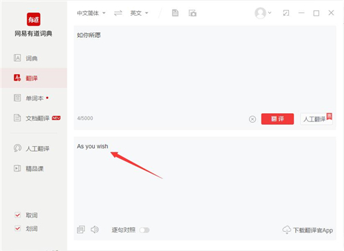 網(wǎng)易有道詞典