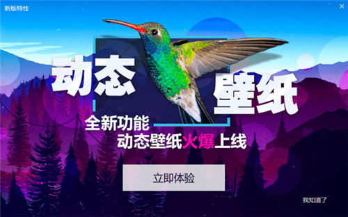 小鳥(niǎo)壁紙3.11