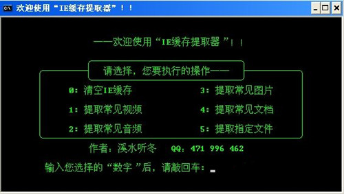 IE緩存文件提取器