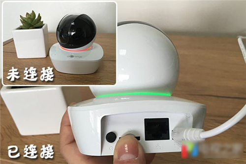 大華樂橙