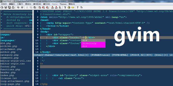 GVIM