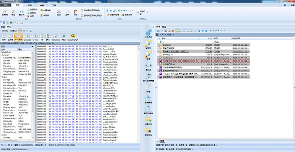 FileVoyager