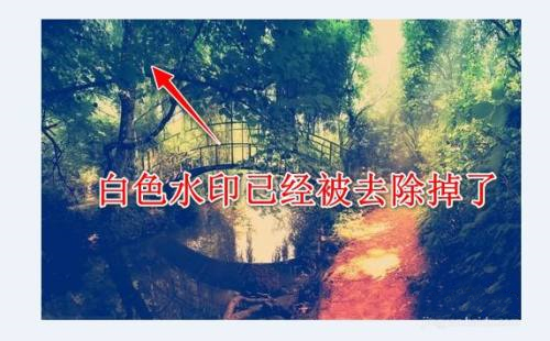 圖圖去水印綠色版
