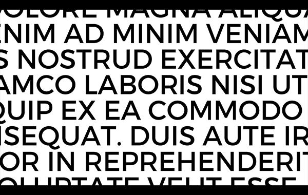 fontlab vi