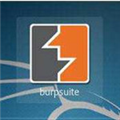 BurpSuite