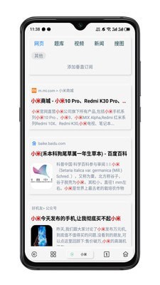 rains浏览器app最新版