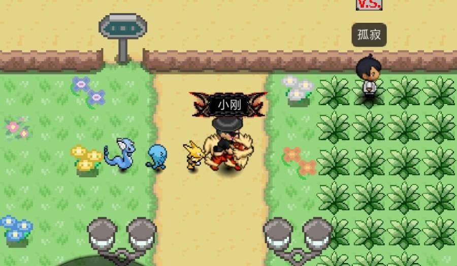 PokePlus官方版