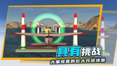 极限飞行模拟器专业版