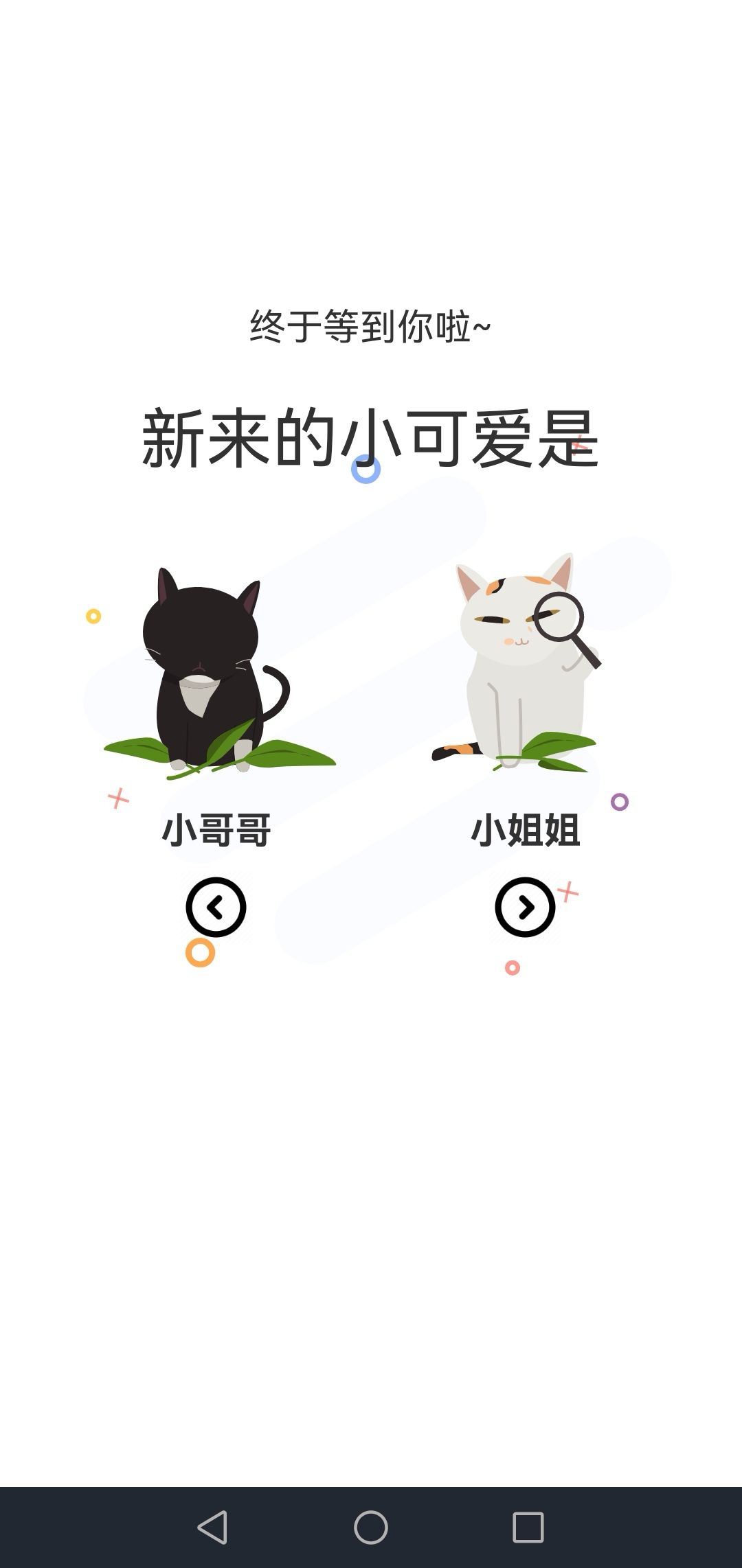 喵上动漫app