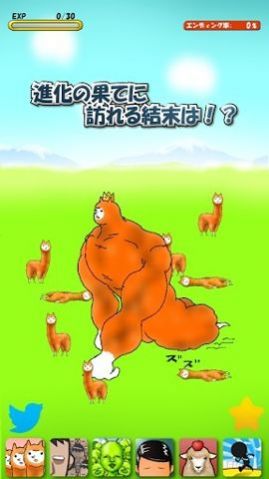 兄贵羊驼(Alpaca)